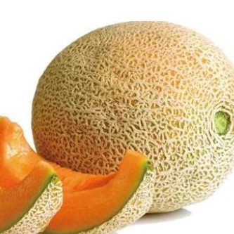 Semillas De Melón De Piel Amarilla ME-TE